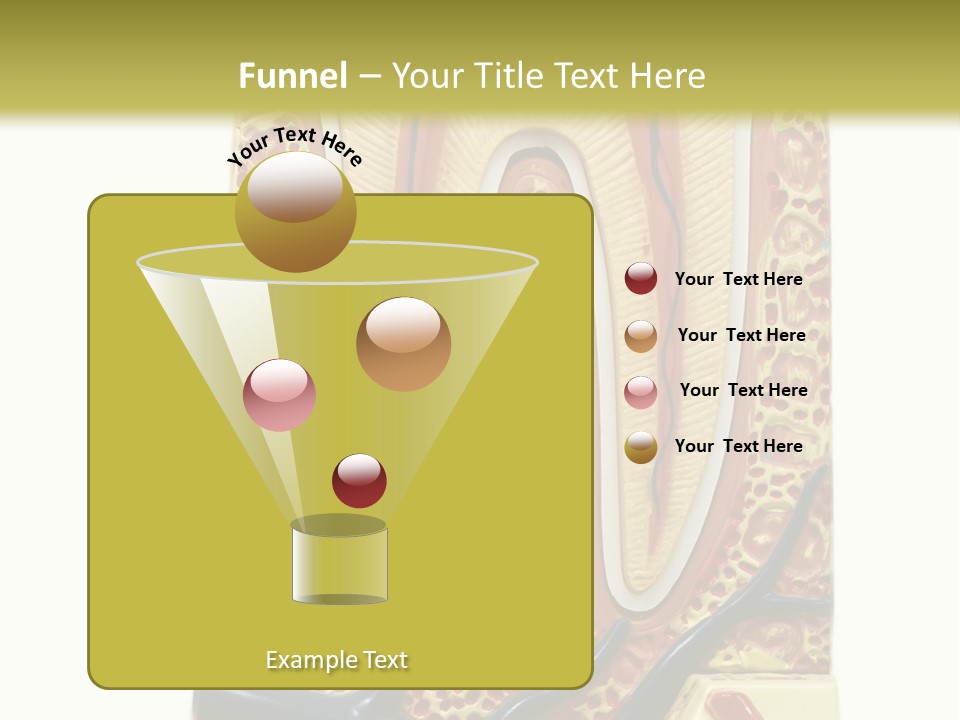 Shake Beautiful Teenager PowerPoint Template