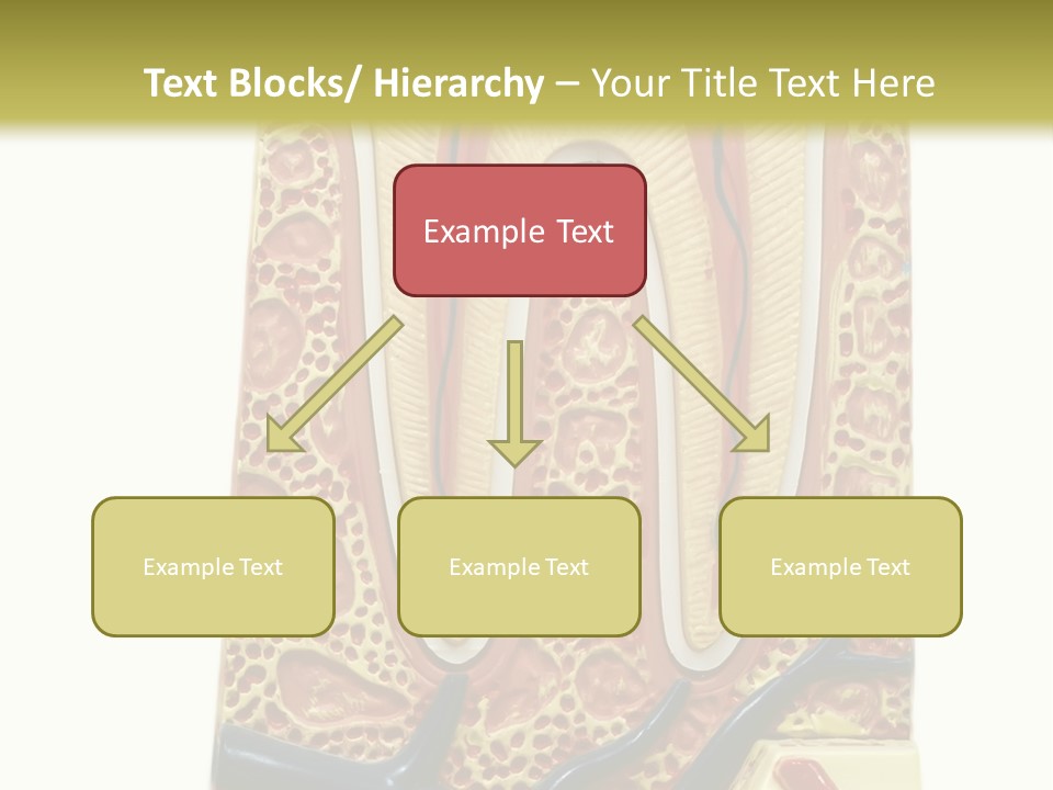 Shake Beautiful Teenager PowerPoint Template