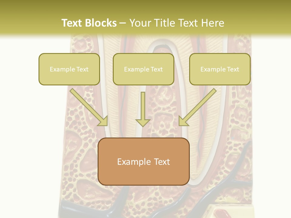 Shake Beautiful Teenager PowerPoint Template