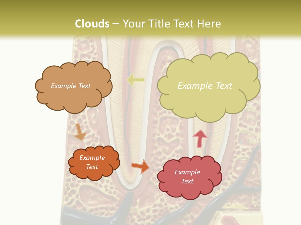 Shake Beautiful Teenager PowerPoint Template