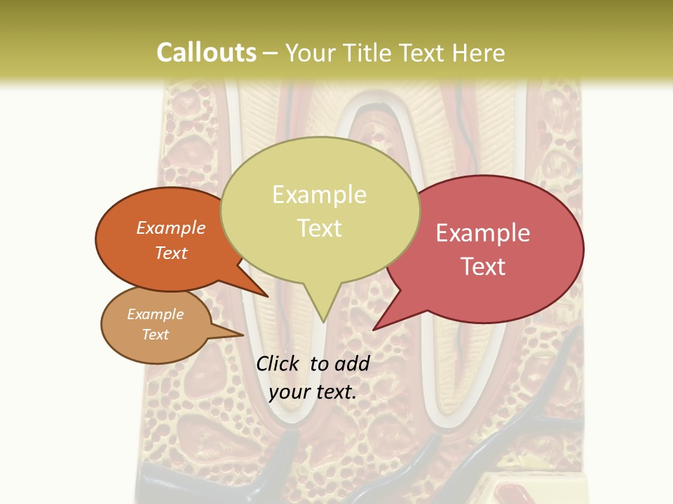 Shake Beautiful Teenager PowerPoint Template