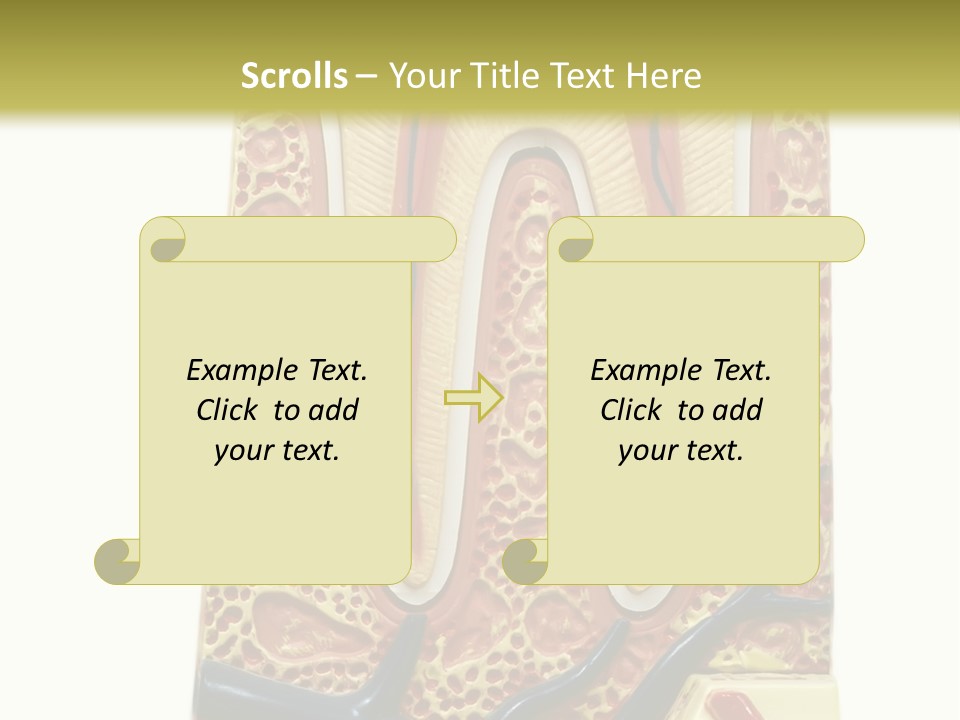 Shake Beautiful Teenager PowerPoint Template