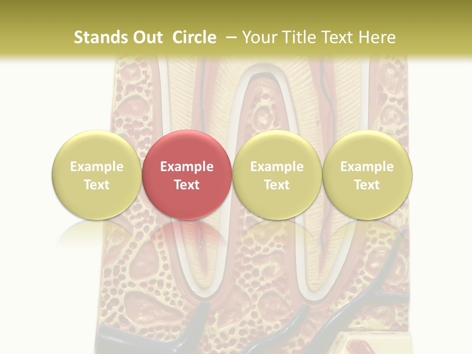 Shake Beautiful Teenager PowerPoint Template