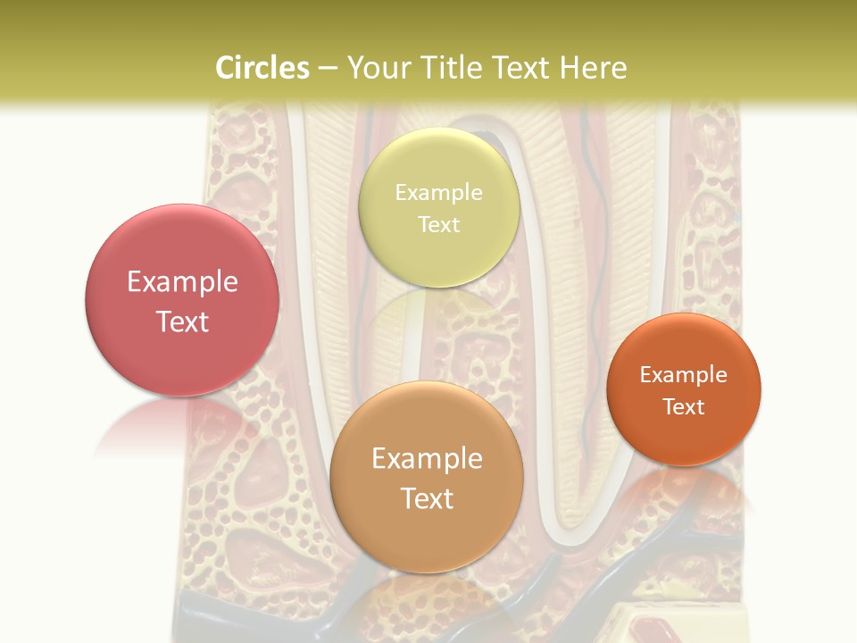 Shake Beautiful Teenager PowerPoint Template