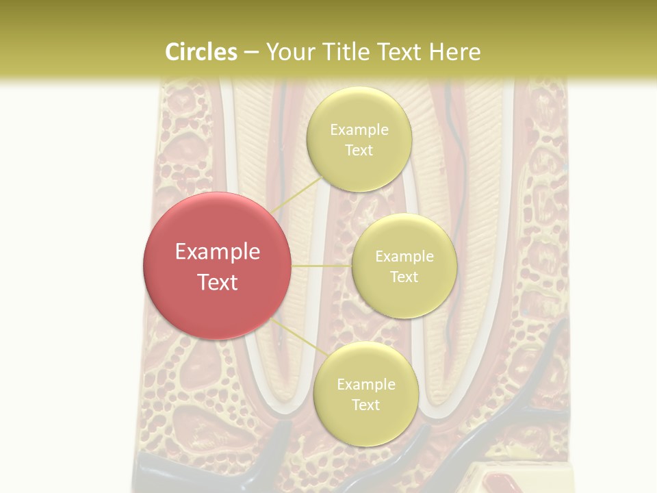 Shake Beautiful Teenager PowerPoint Template