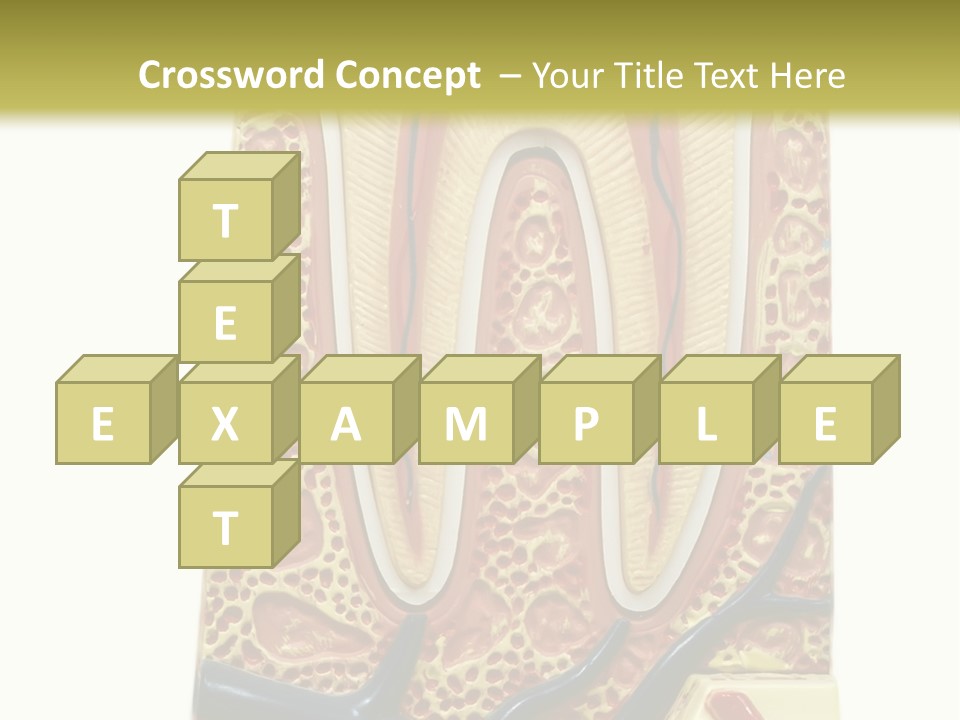 Shake Beautiful Teenager PowerPoint Template