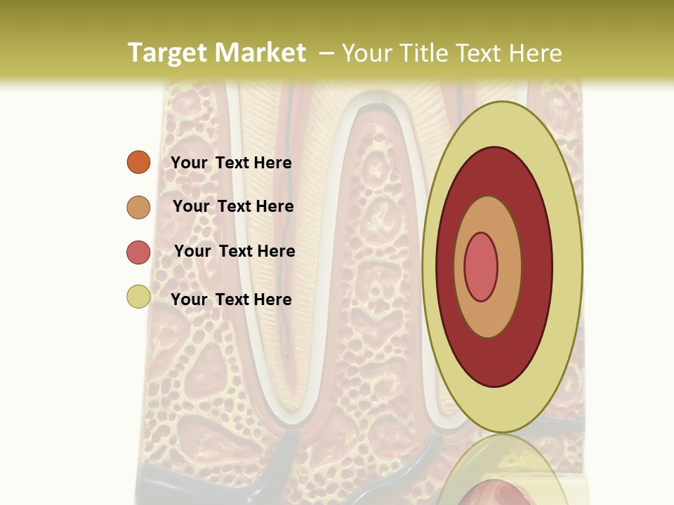 Shake Beautiful Teenager PowerPoint Template