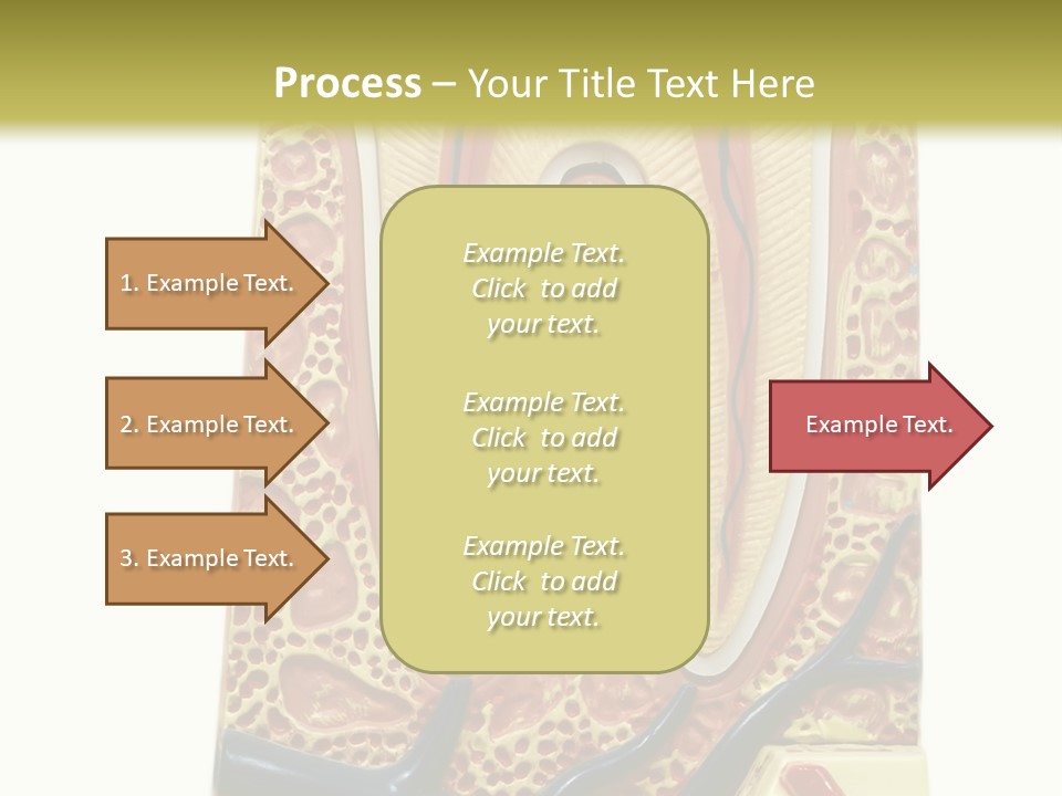 Shake Beautiful Teenager PowerPoint Template
