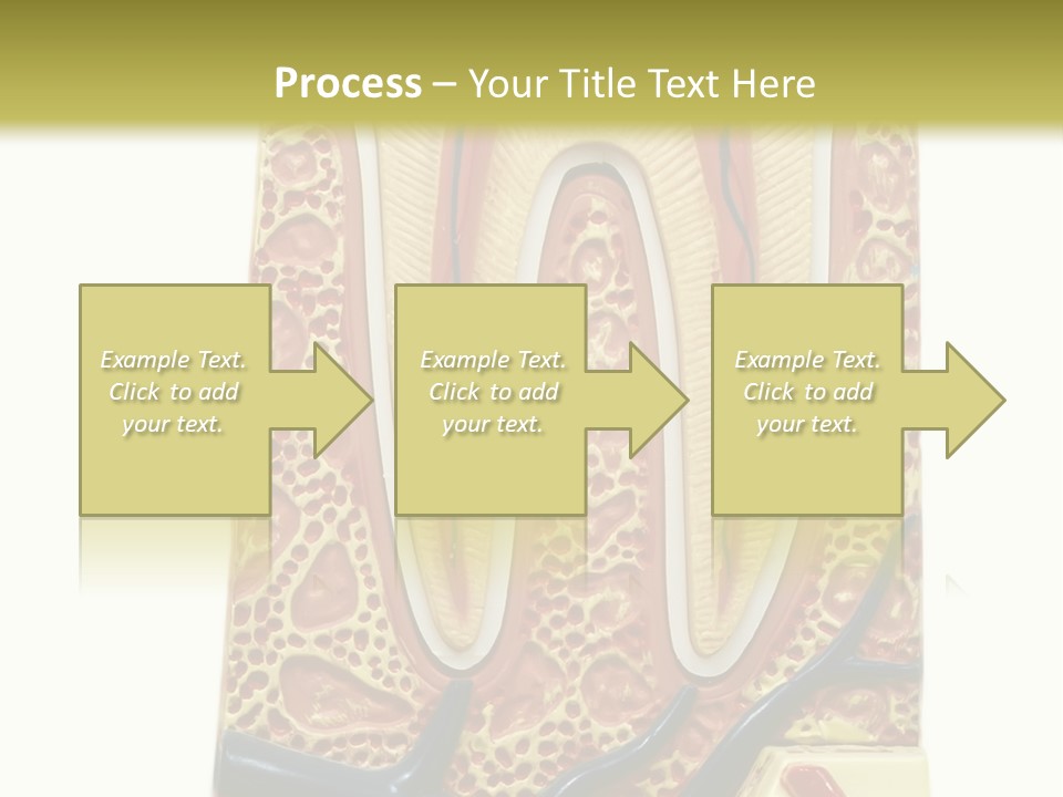 Shake Beautiful Teenager PowerPoint Template