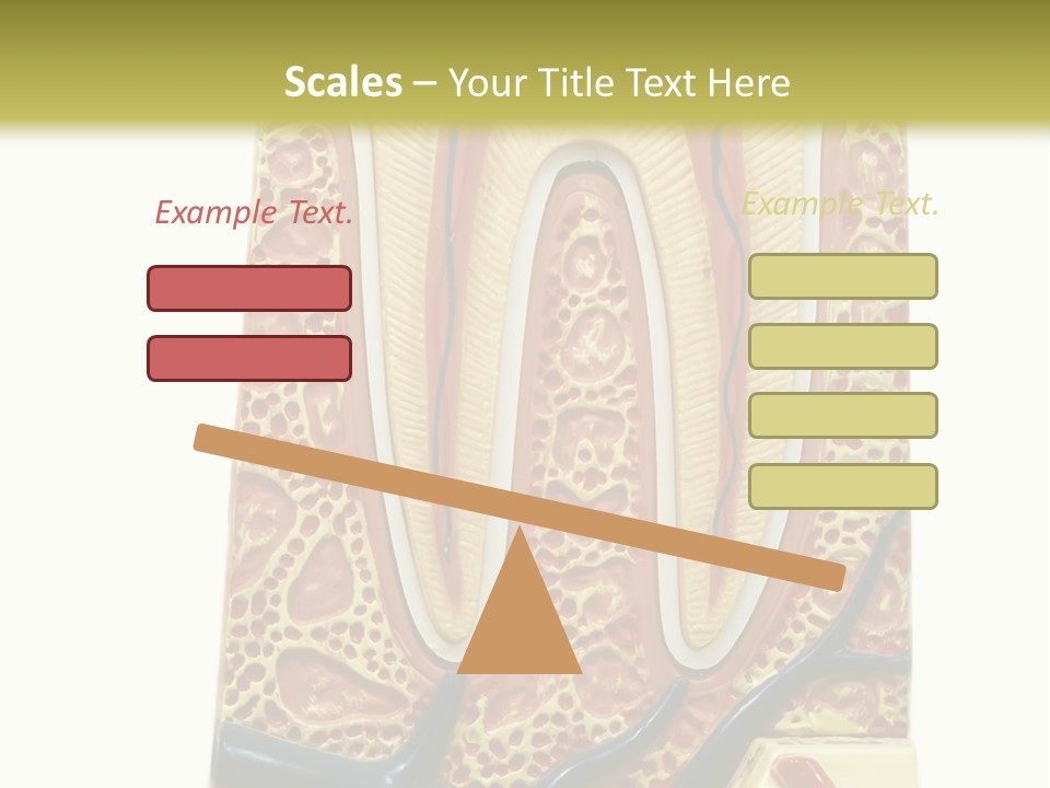 Shake Beautiful Teenager PowerPoint Template