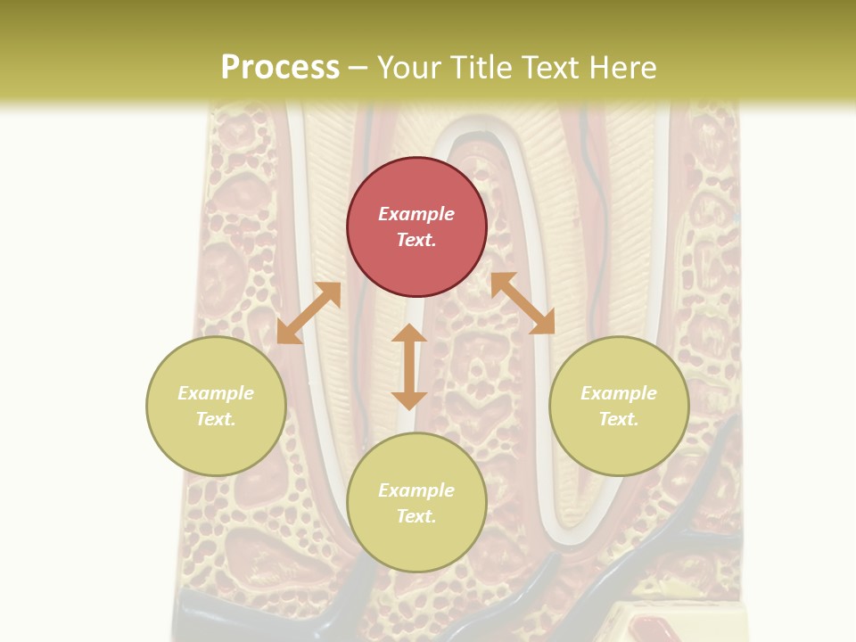 Shake Beautiful Teenager PowerPoint Template