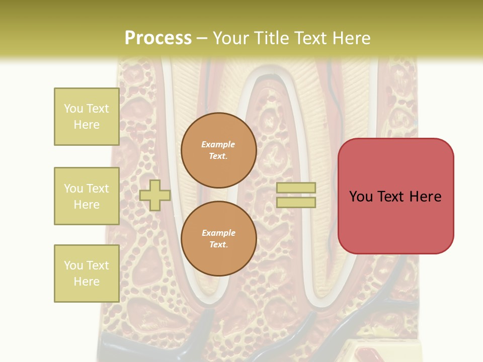 Shake Beautiful Teenager PowerPoint Template