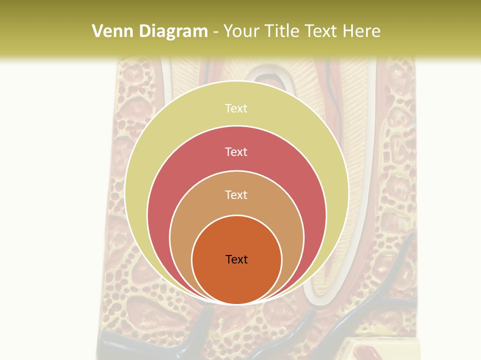 Shake Beautiful Teenager PowerPoint Template