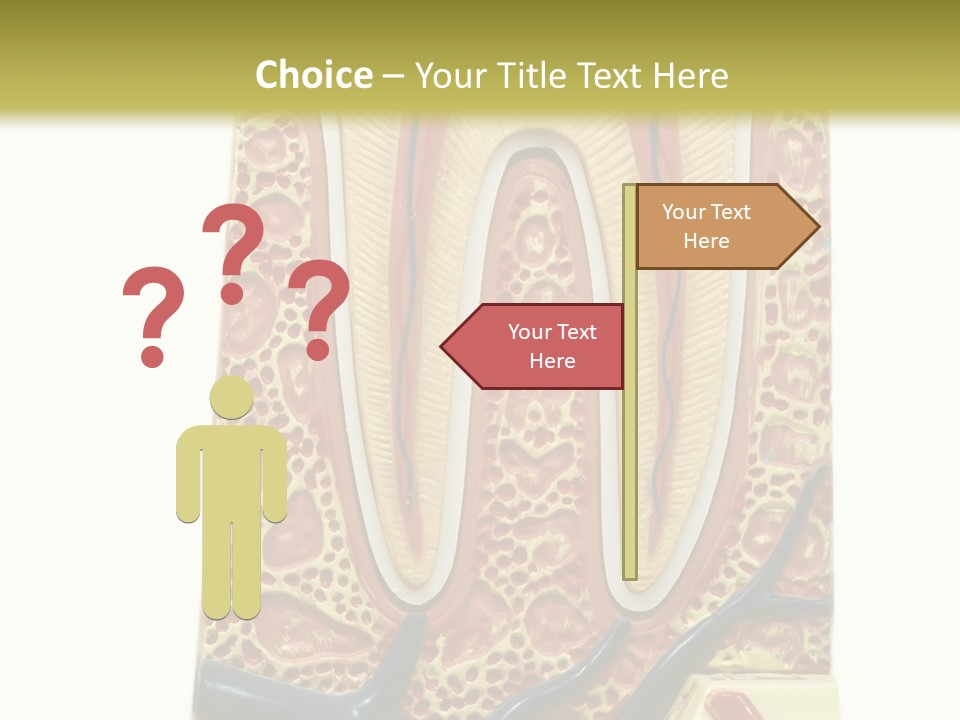 Shake Beautiful Teenager PowerPoint Template