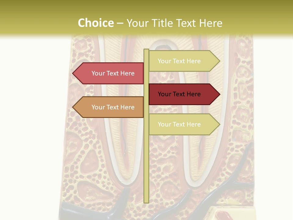 Shake Beautiful Teenager PowerPoint Template