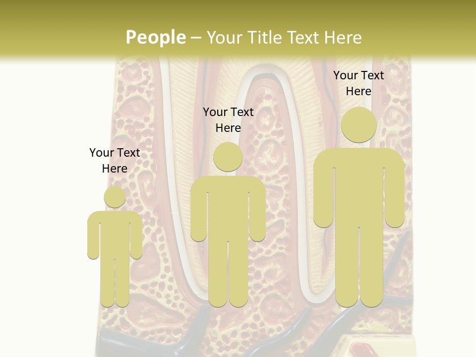 Shake Beautiful Teenager PowerPoint Template