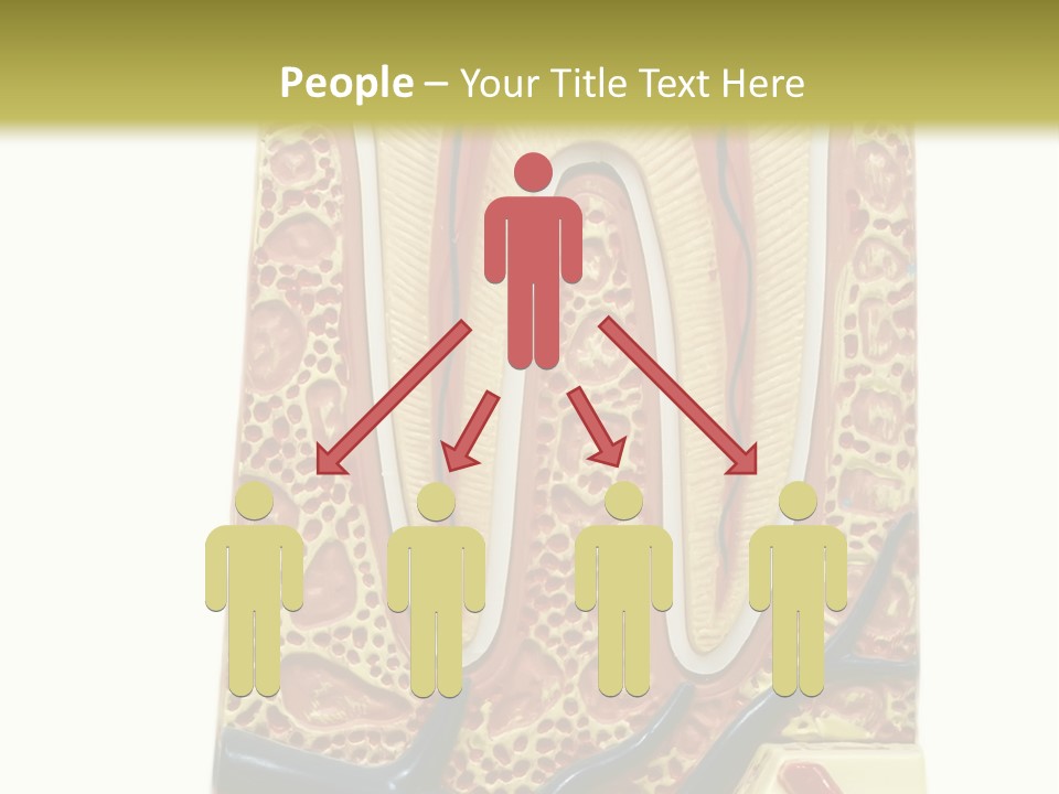 Shake Beautiful Teenager PowerPoint Template