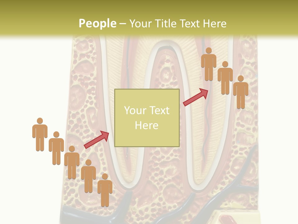 Shake Beautiful Teenager PowerPoint Template