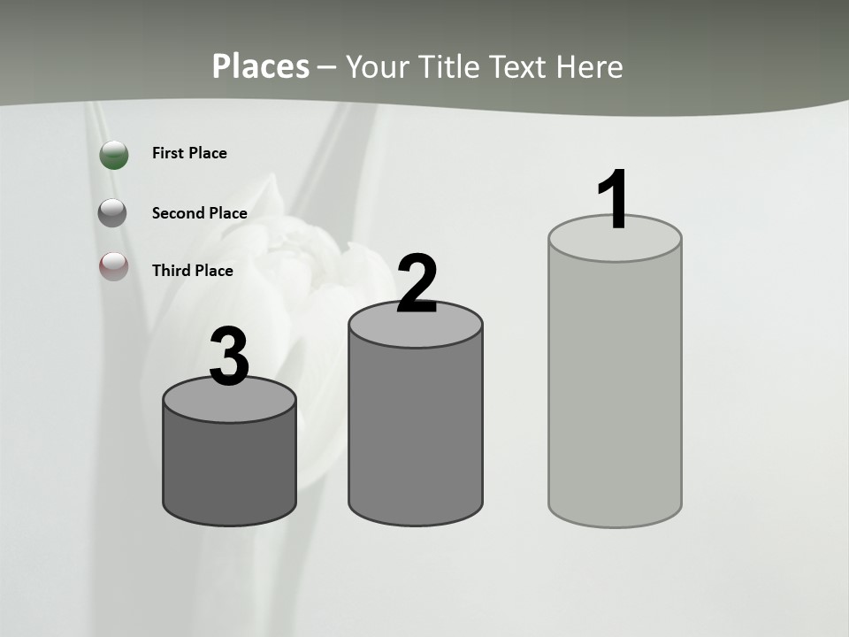 Pure Green Tulip PowerPoint Template