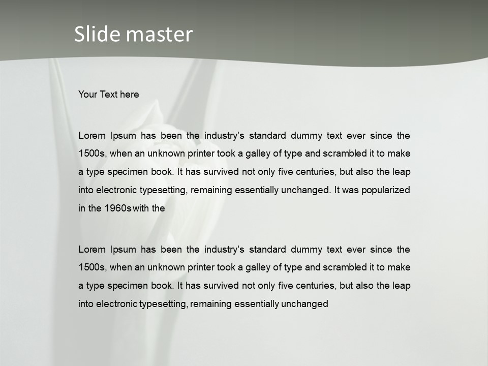 Pure Green Tulip PowerPoint Template