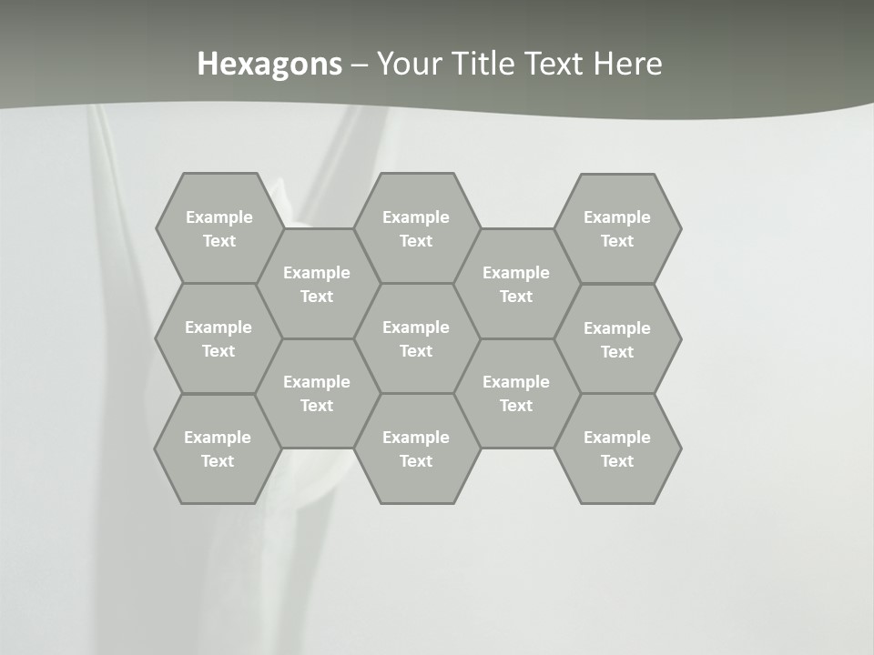 Pure Green Tulip PowerPoint Template