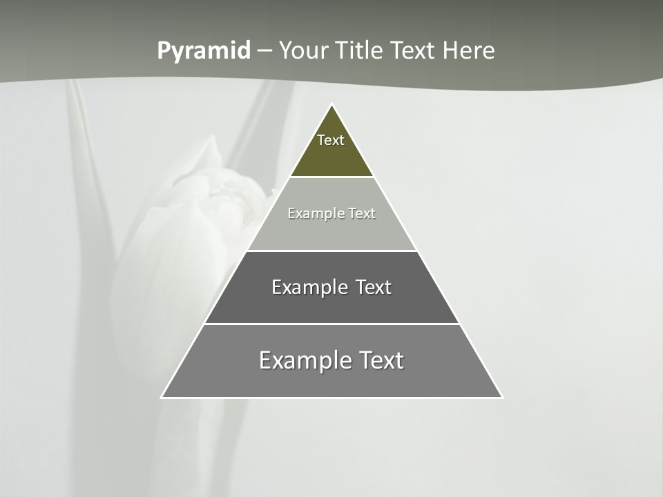 Pure Green Tulip PowerPoint Template