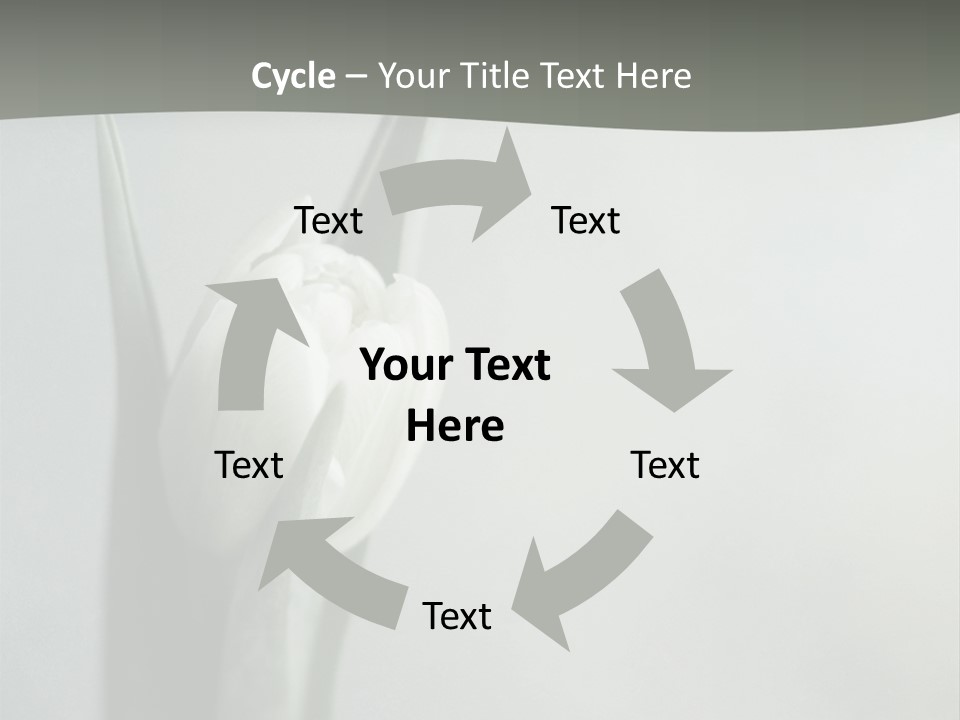 Pure Green Tulip PowerPoint Template