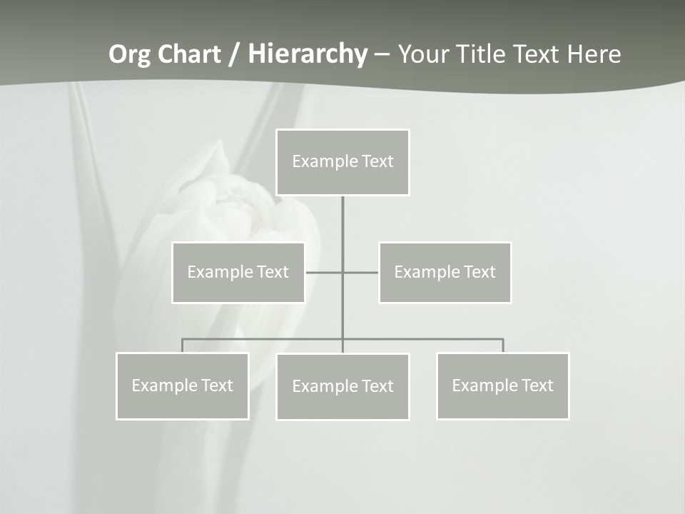 Pure Green Tulip PowerPoint Template