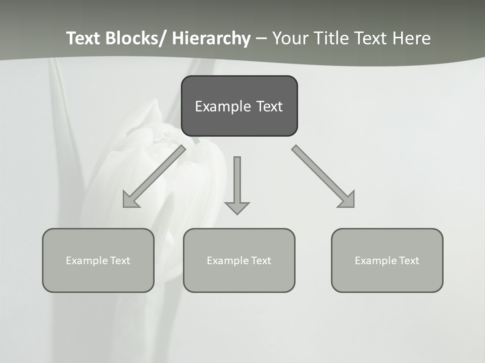 Pure Green Tulip PowerPoint Template