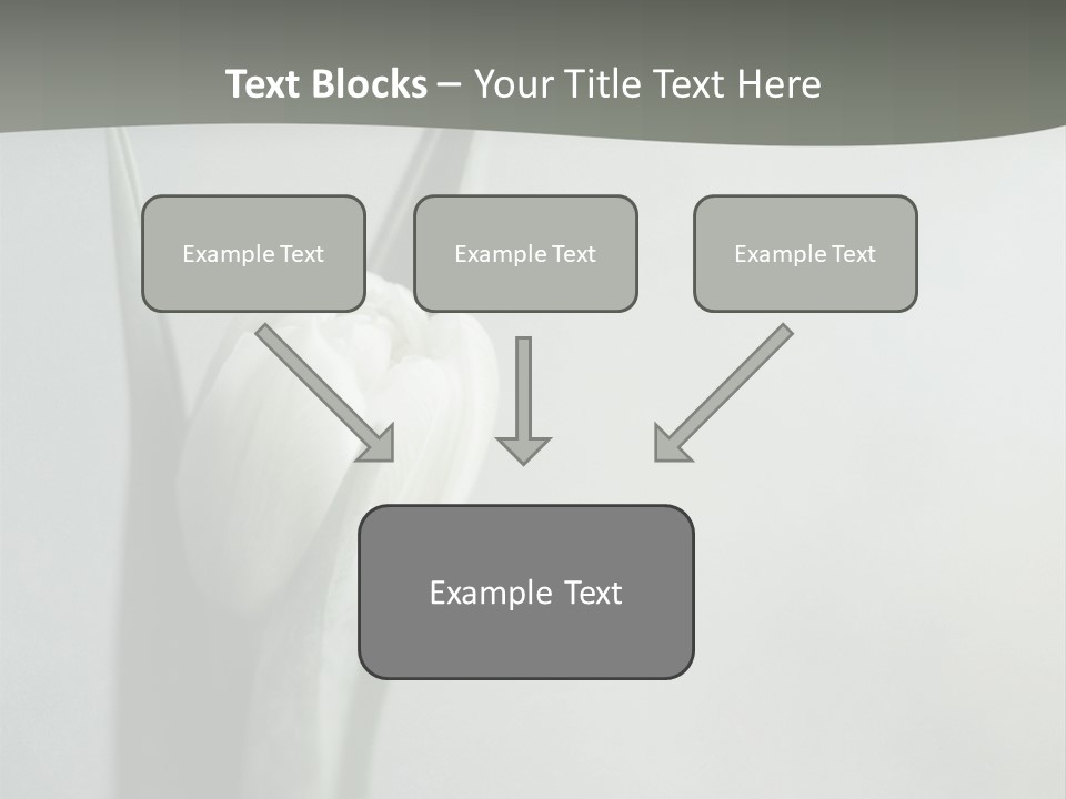 Pure Green Tulip PowerPoint Template