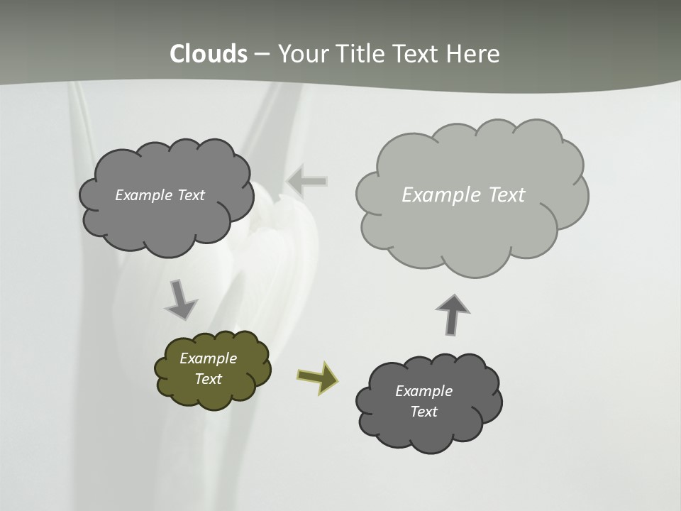 Pure Green Tulip PowerPoint Template