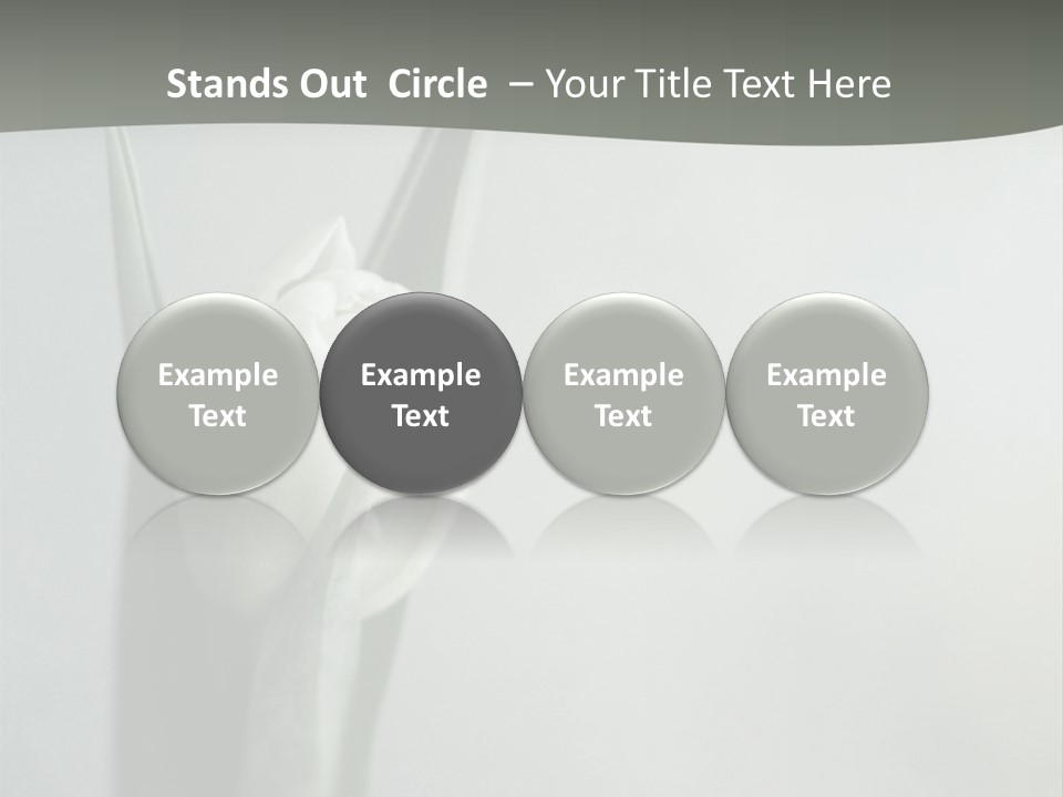 Pure Green Tulip PowerPoint Template