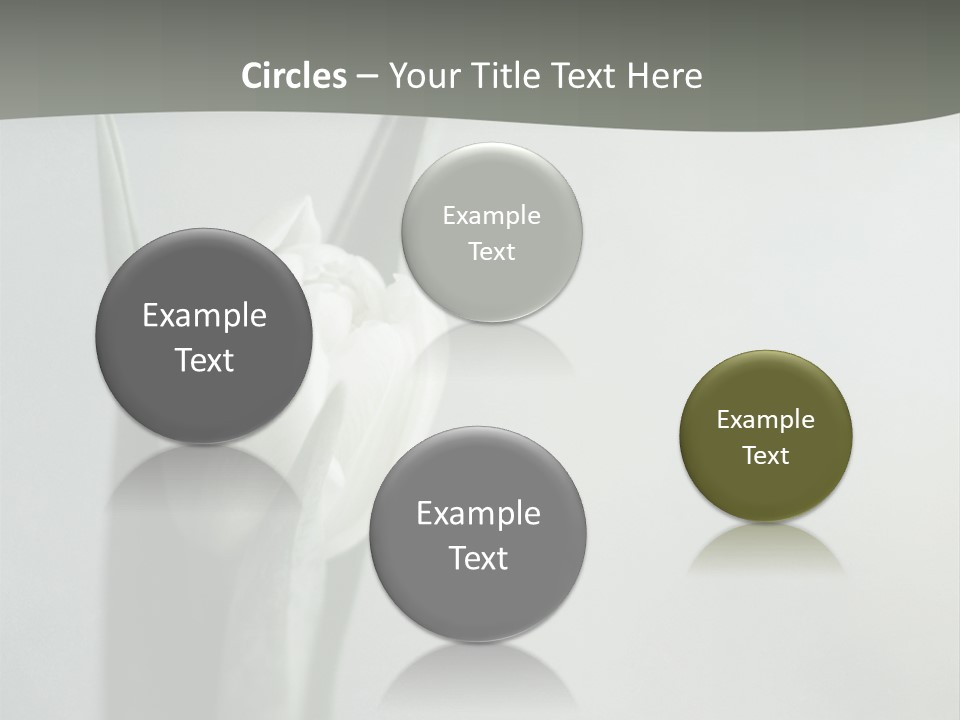 Pure Green Tulip PowerPoint Template