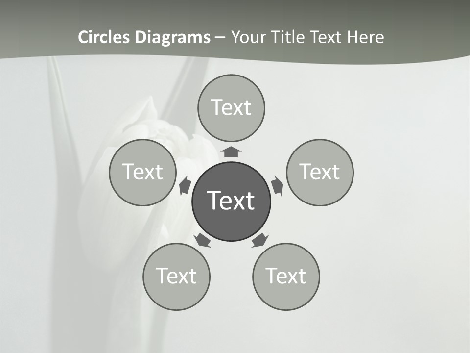 Pure Green Tulip PowerPoint Template