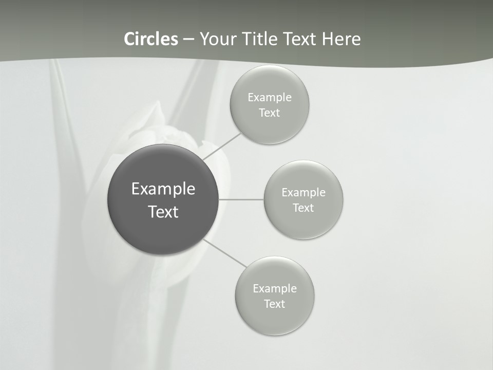 Pure Green Tulip PowerPoint Template