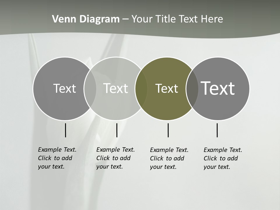 Pure Green Tulip PowerPoint Template