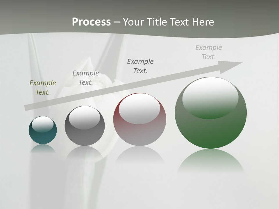 Pure Green Tulip PowerPoint Template