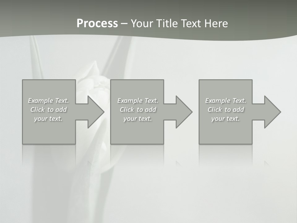 Pure Green Tulip PowerPoint Template