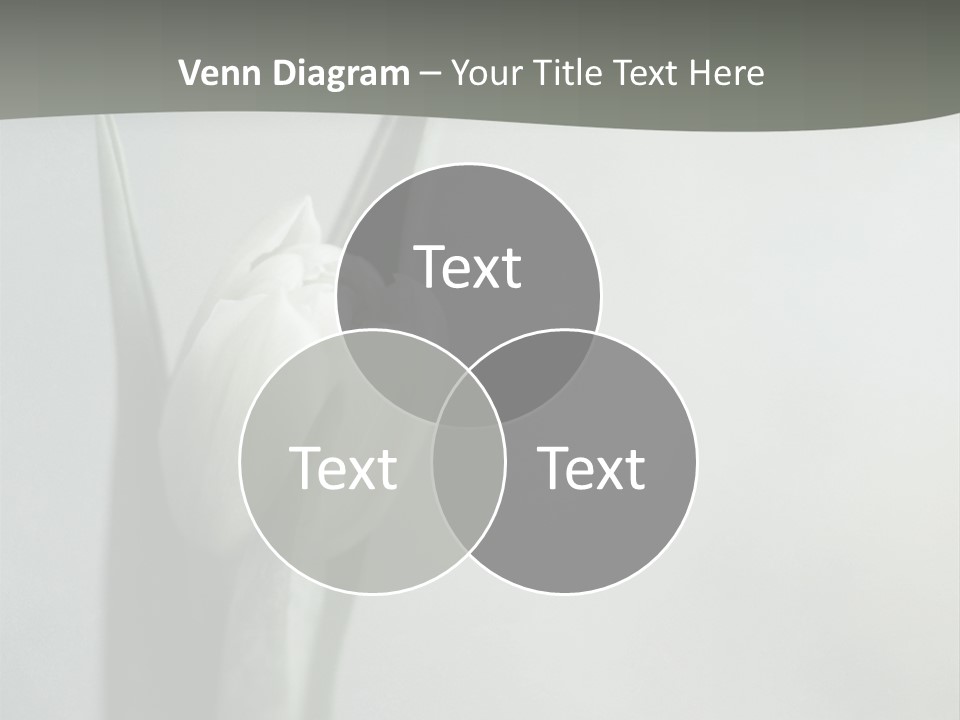 Pure Green Tulip PowerPoint Template