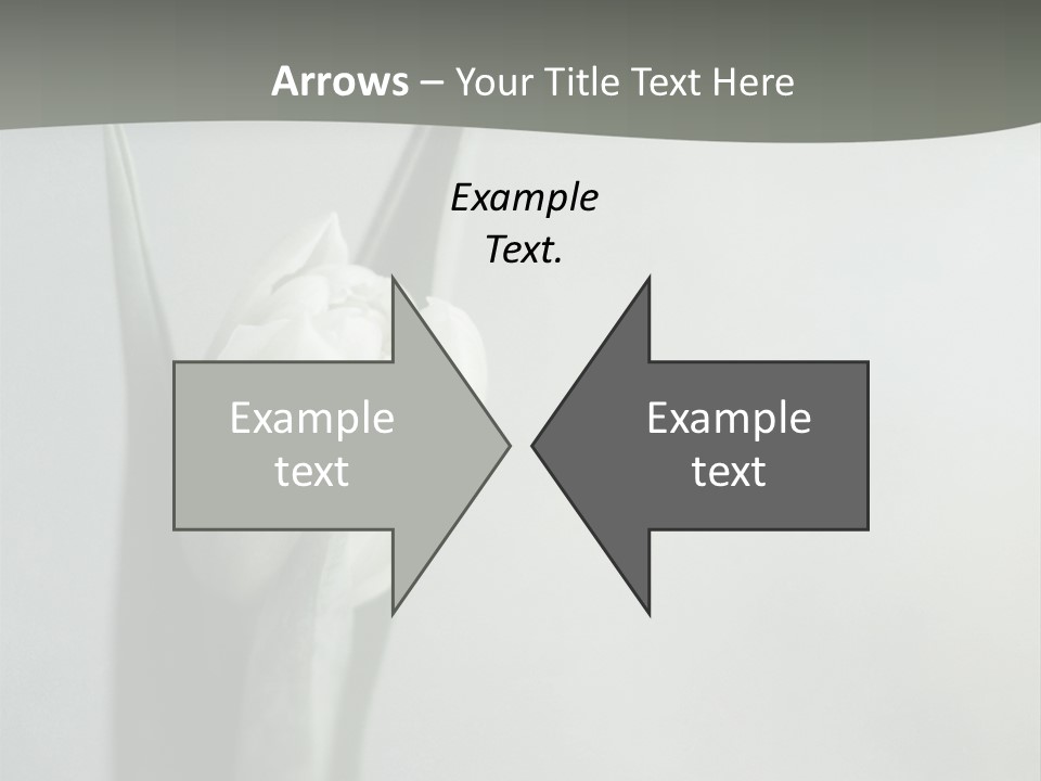 Pure Green Tulip PowerPoint Template