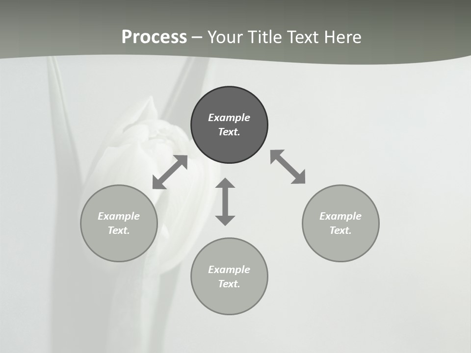 Pure Green Tulip PowerPoint Template