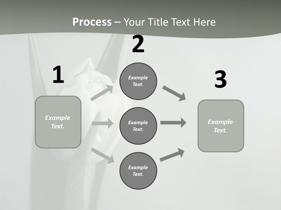 Pure Green Tulip PowerPoint Template