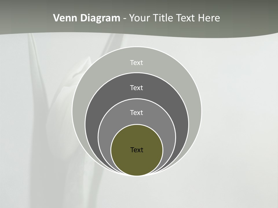 Pure Green Tulip PowerPoint Template