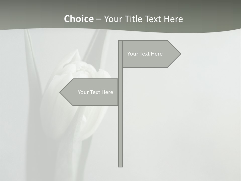 Pure Green Tulip PowerPoint Template