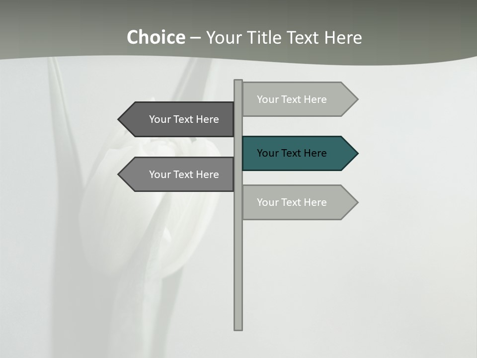 Pure Green Tulip PowerPoint Template