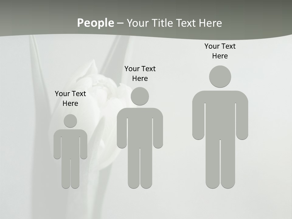 Pure Green Tulip PowerPoint Template