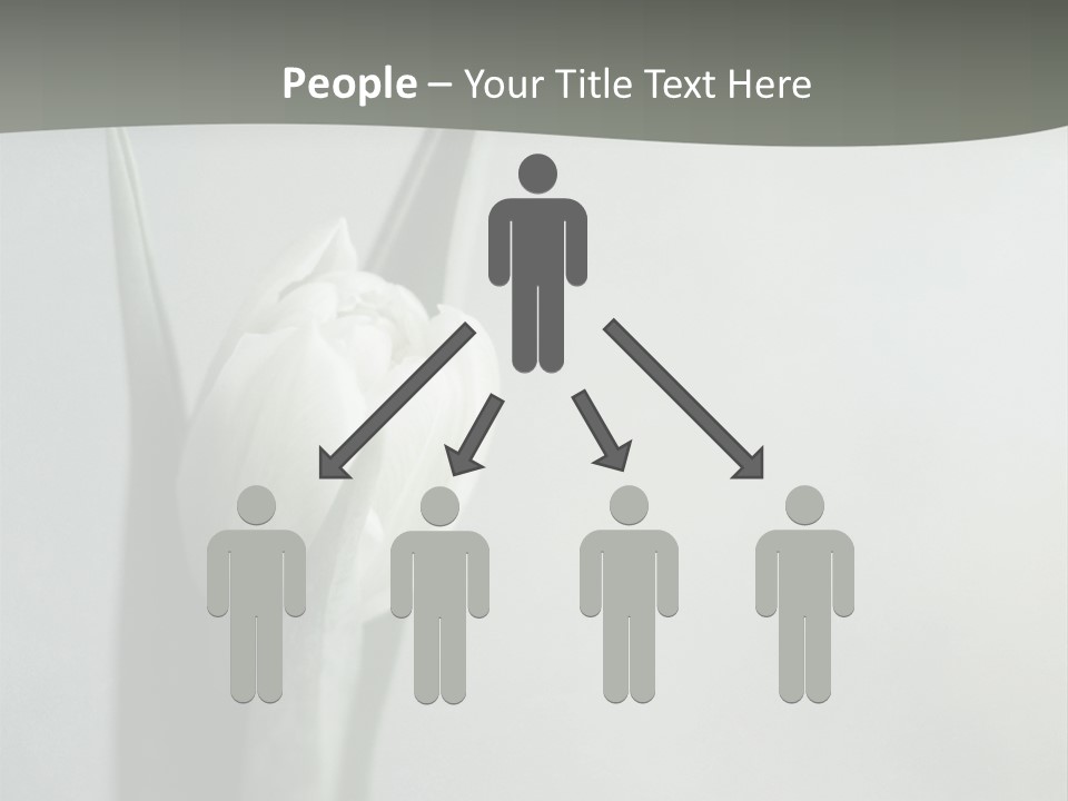 Pure Green Tulip PowerPoint Template