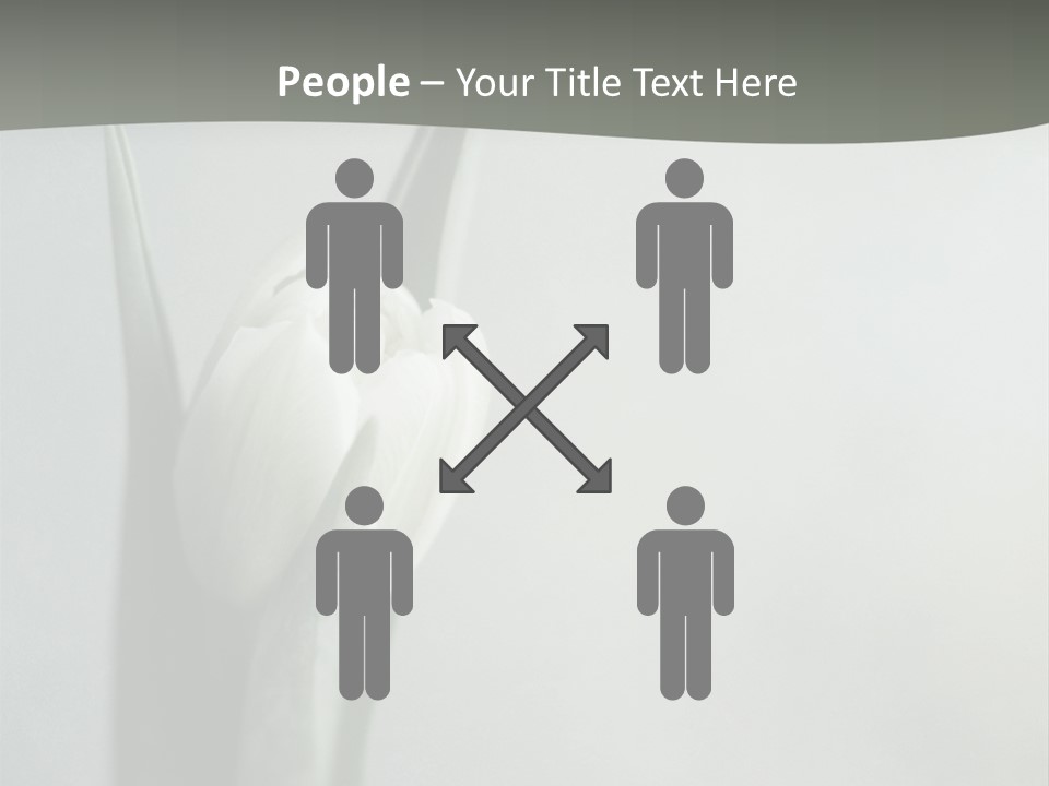 Pure Green Tulip PowerPoint Template