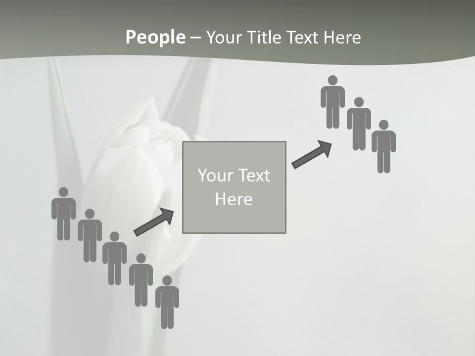 Pure Green Tulip PowerPoint Template