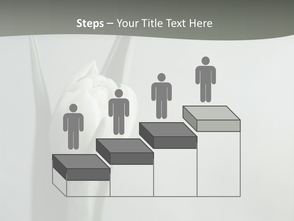 Pure Green Tulip PowerPoint Template